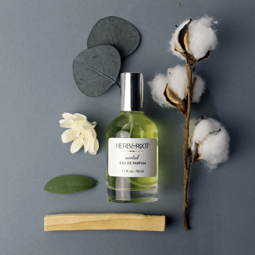 Valentino Born in Roma Donna Yellow Dream Review: A Sunny Floral-Musk