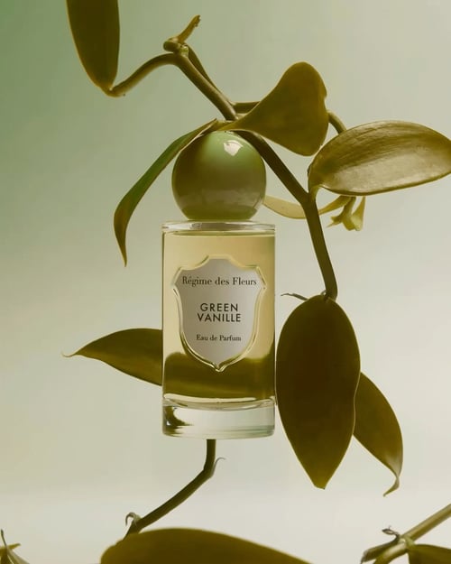 Vanoy Vanoy Green by Dries Van Noten: A Scholarly Review