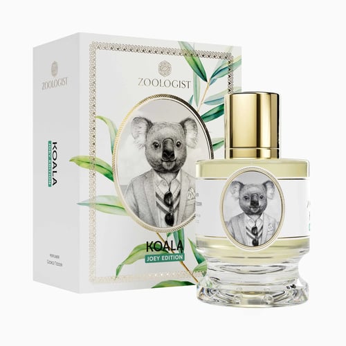 Zoologist Koala Joey Edition: A Verdant Australian Reverie