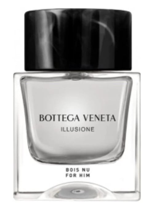 Bottega Veneta Illusione Bois Nu: An Ode to Understated Italian Elegance