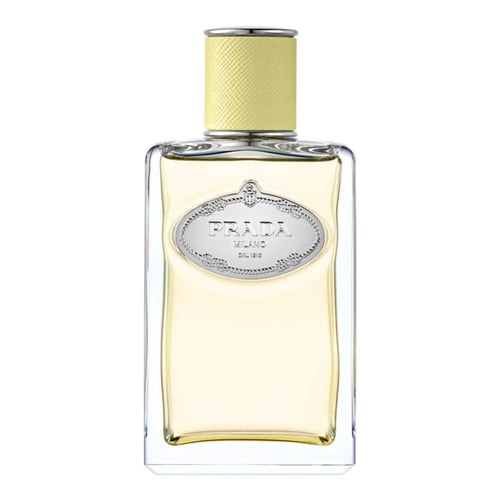 Prada Infusion De Gingembre: The Art of Olfactory Minimalism