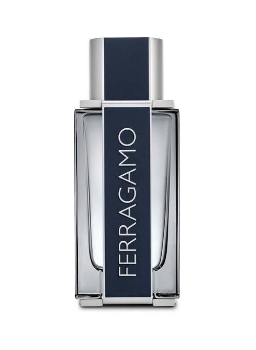 Salvatore Ferragamo Ferragamo: A Timeless Symphony of Italian Sophistication
