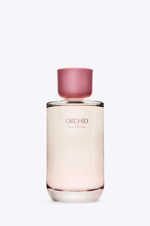 Vivir Insider Exclusive: Unveiling the Enigmatic Allure of Zara Blue Bird Orchid