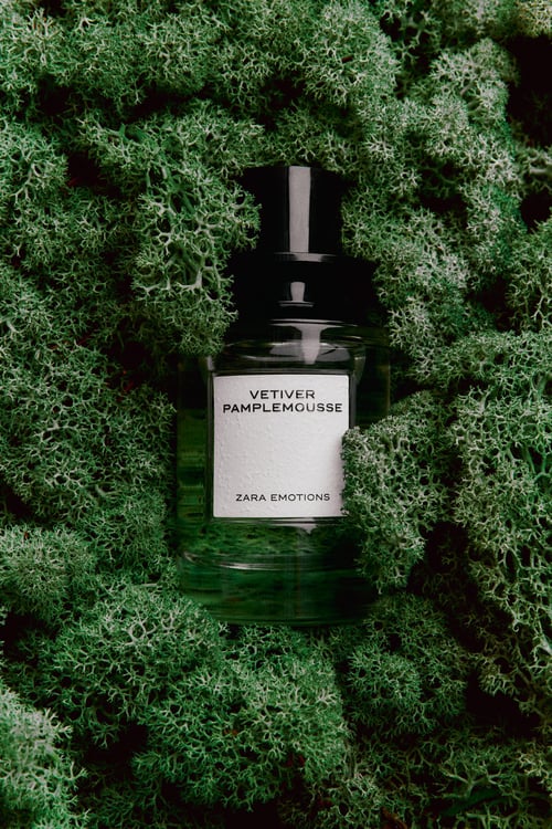Zara Vetiver Pamplemousse Review: Citrus-Vetiver Gem