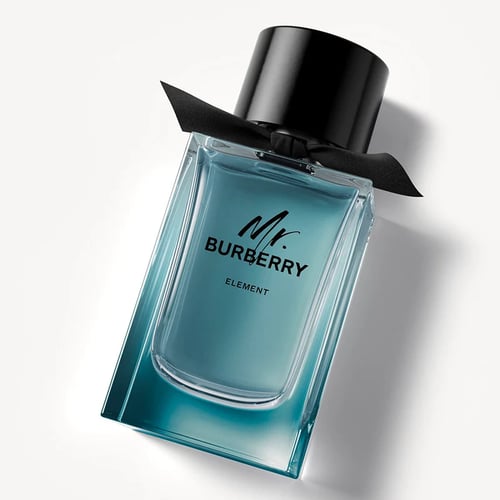 Burberry Mr. Burberry Element: A Modern Ode to the Urban Gentleman