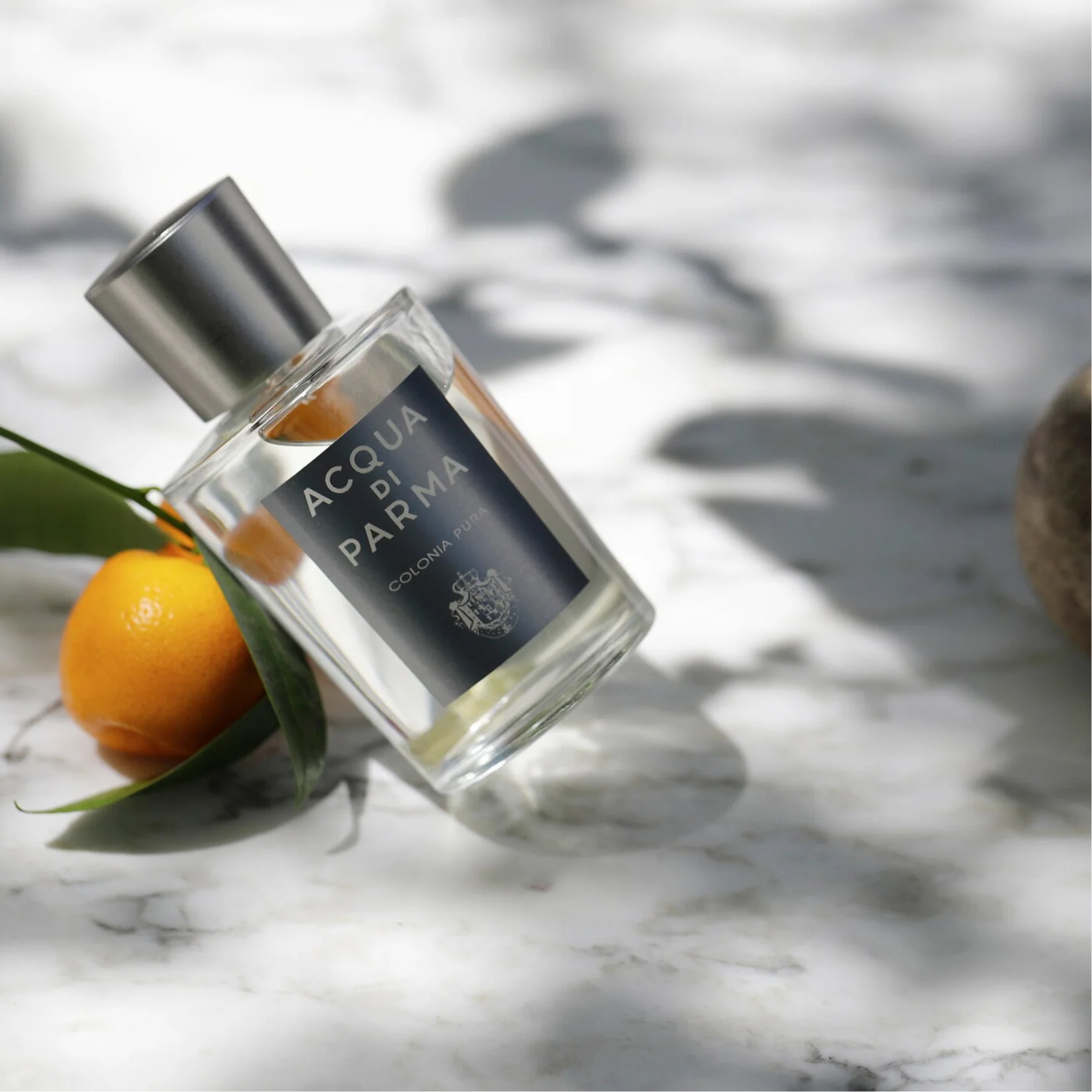Acqua di Parma Colonia Pura Limited Editions: A Collector's Guide to the Rare Citrus