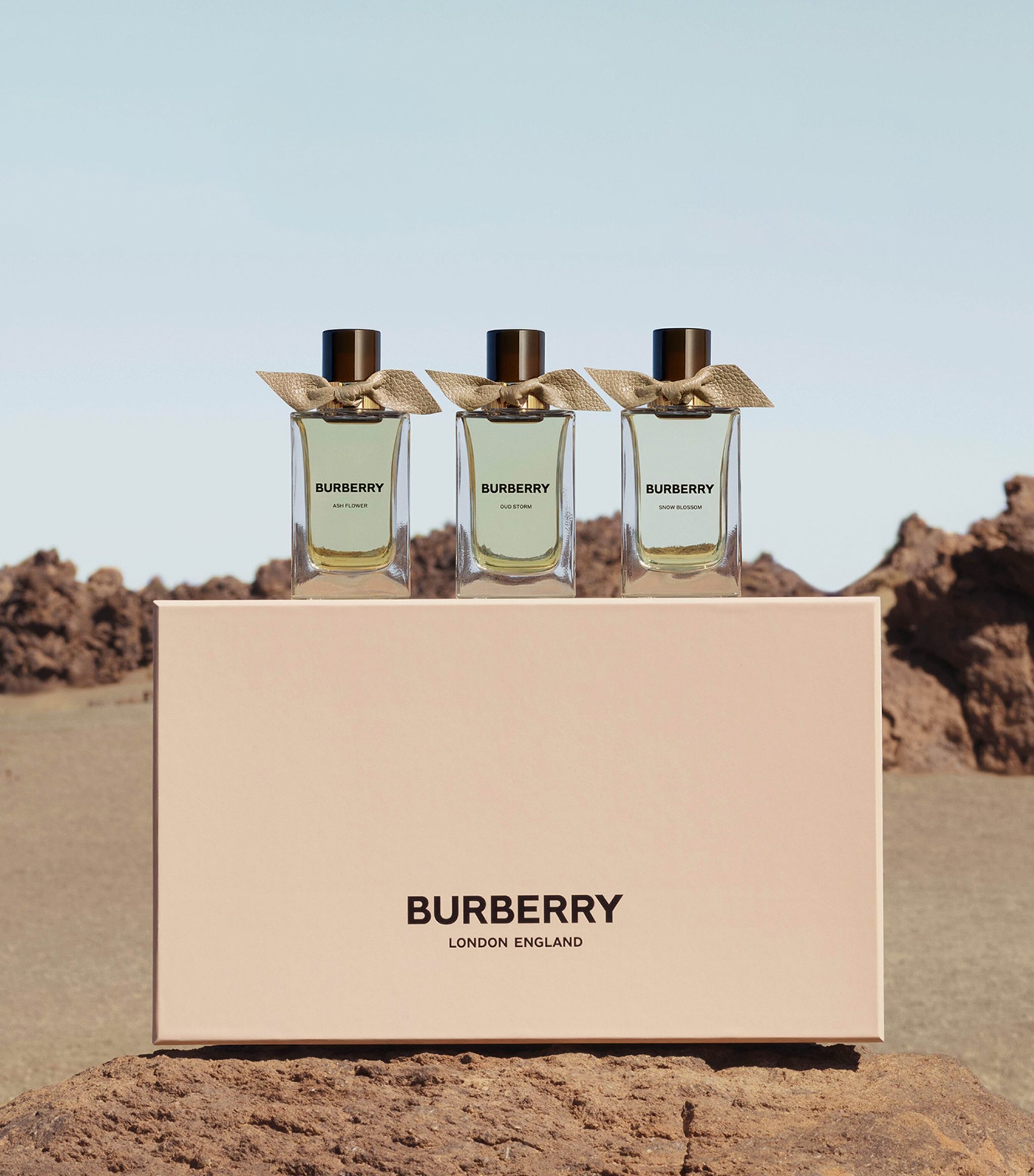 Burberry Her Review: A Symphony of Berries and Blooms - Product Image