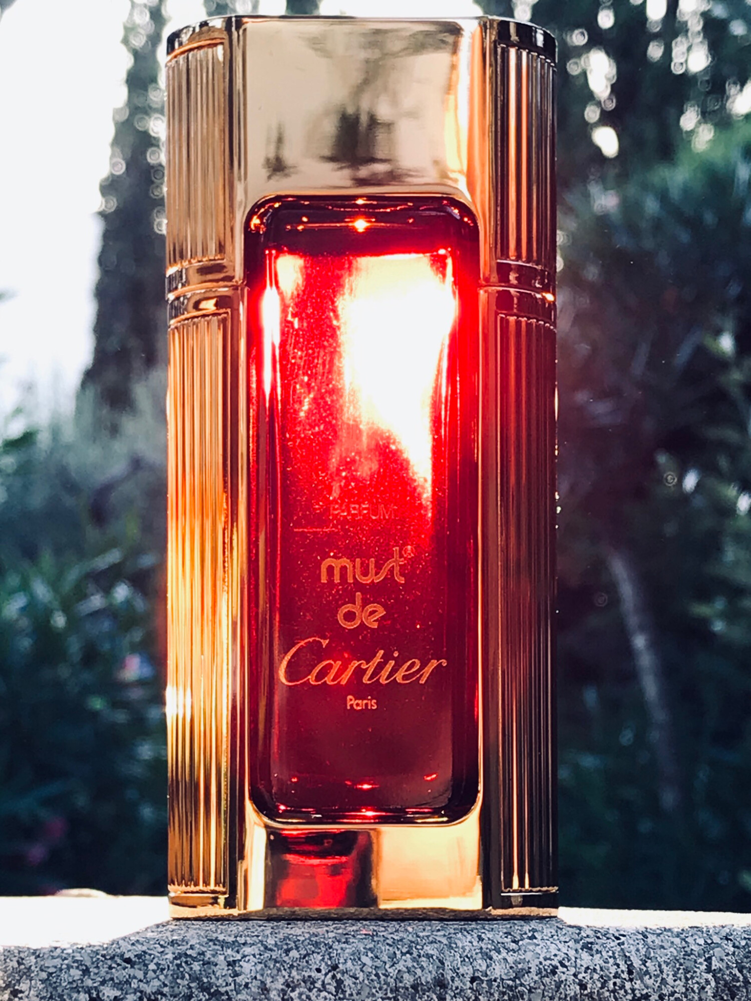Cartier Must de Cartier (1981) Review: A Timeless Oriental - Product Image