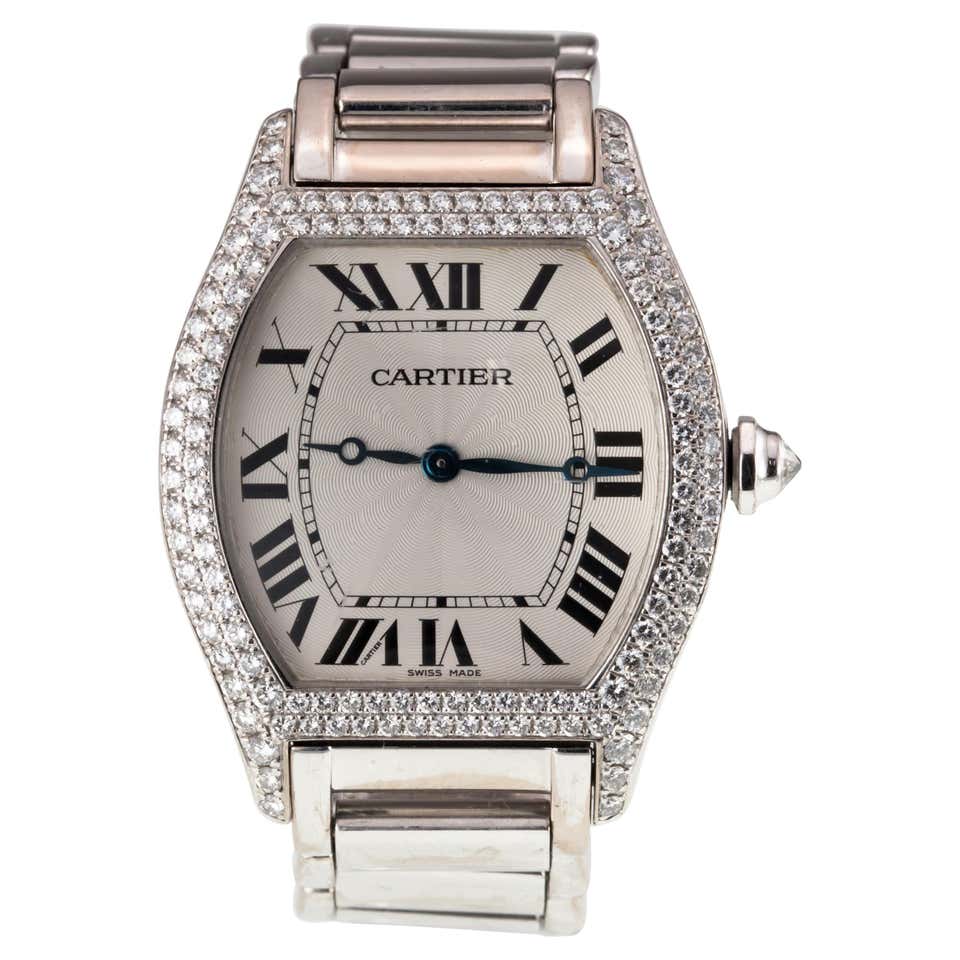 Cartier Panthère Métiers d’Art Tortue Enamel Review - Product Image