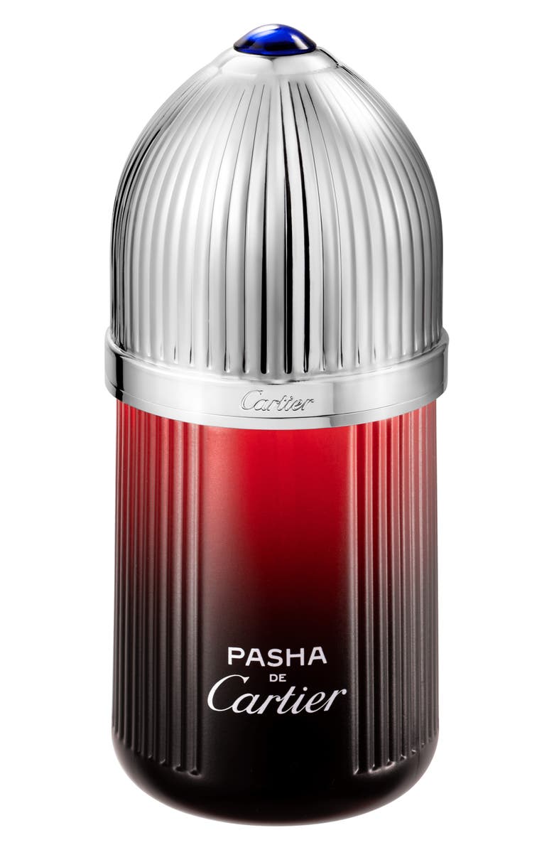 Pasha de Cartier Sport: A Modern Aquatic with an Aristocratic Soul