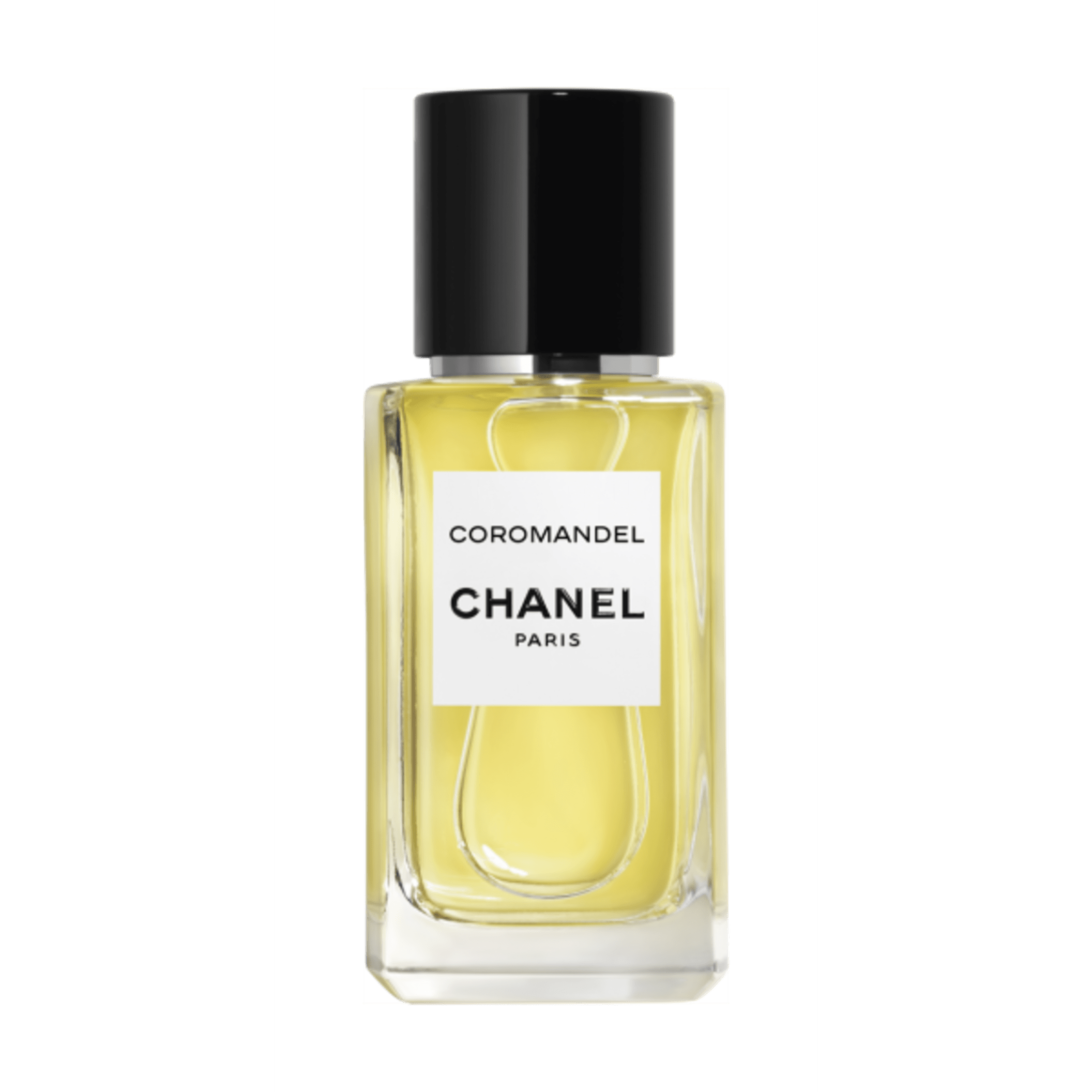 Chanel Coromandel Review: A Gilded Oriental Masterpiece - Product Image