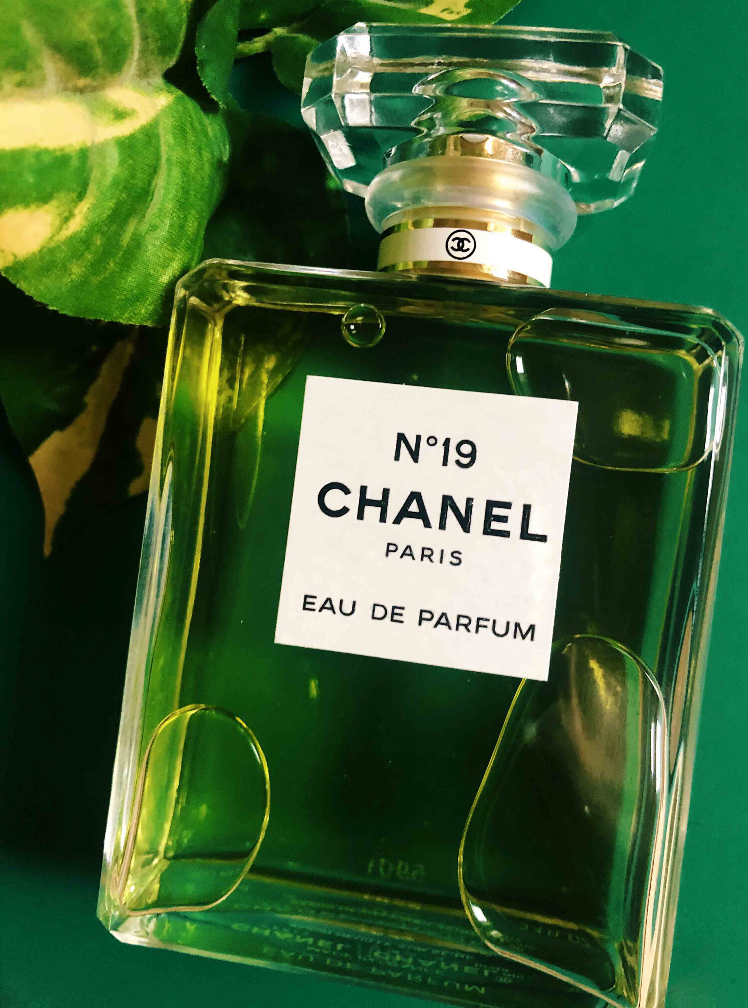 Chanel No. 19 EDP Review: The Iridescent Green Masterpiece - Product Image