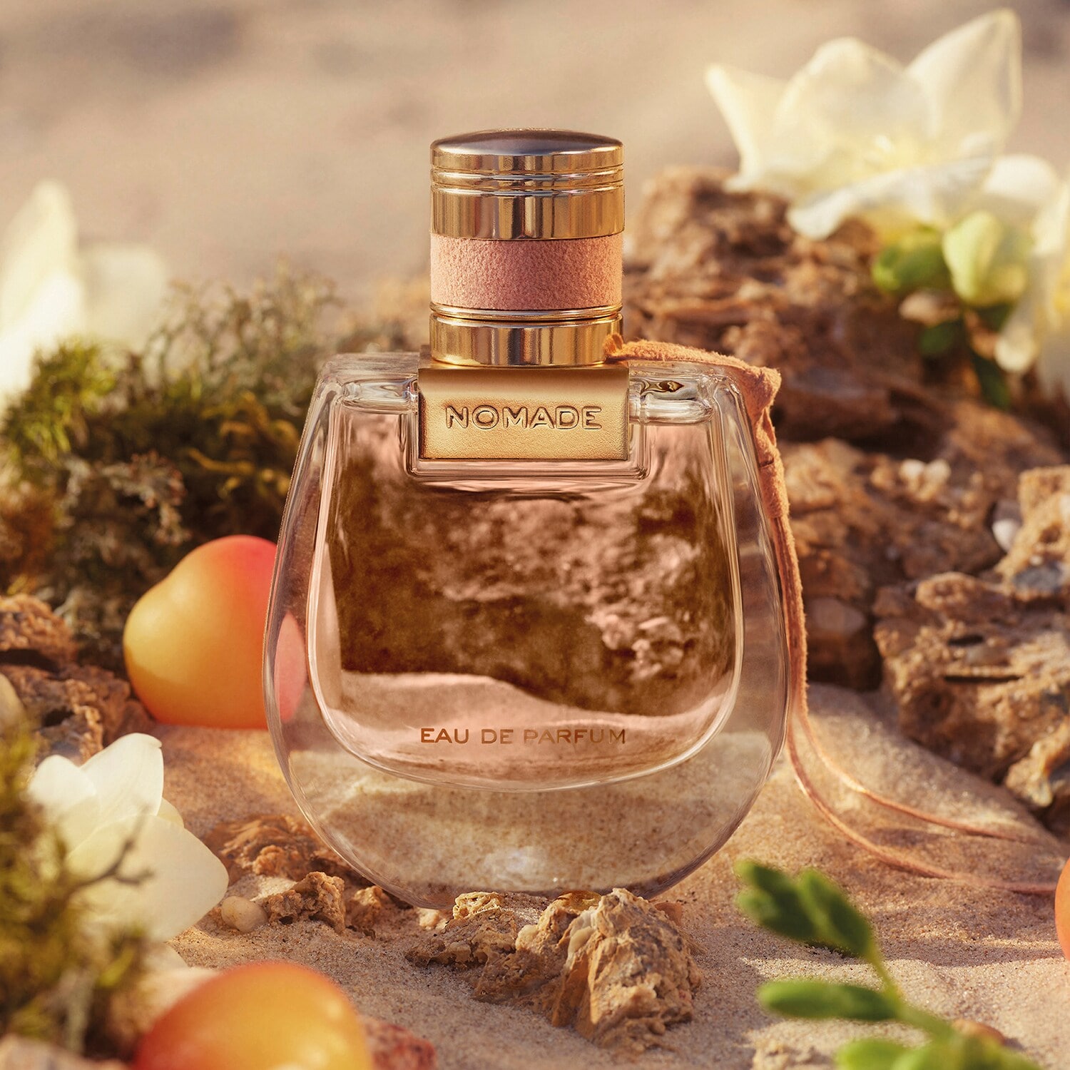 Chloé Nomade Review: A Masterclass in Modern Feminine Elegance - Product Image