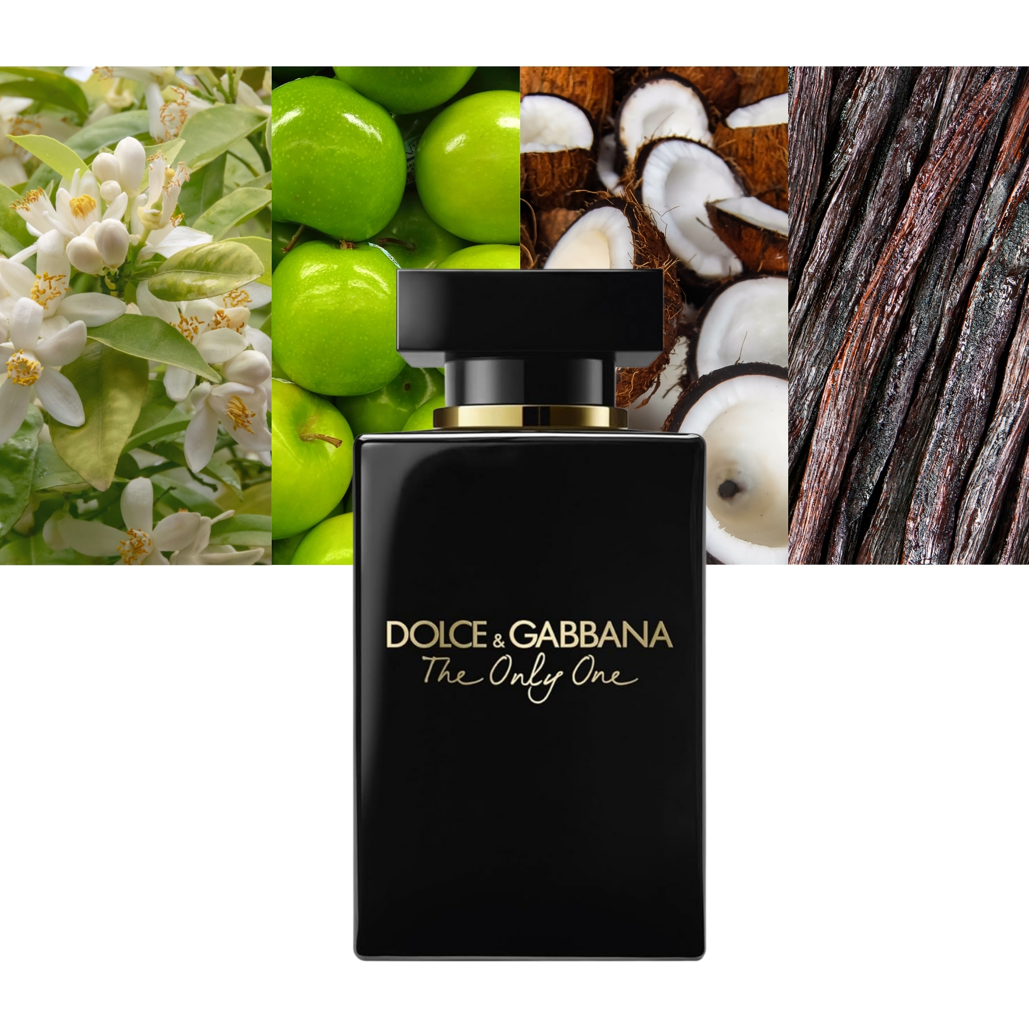 Dolce & Gabbana The Only One Intense: A Radiant Floral Vanilla for the Modern Siren - Product Image