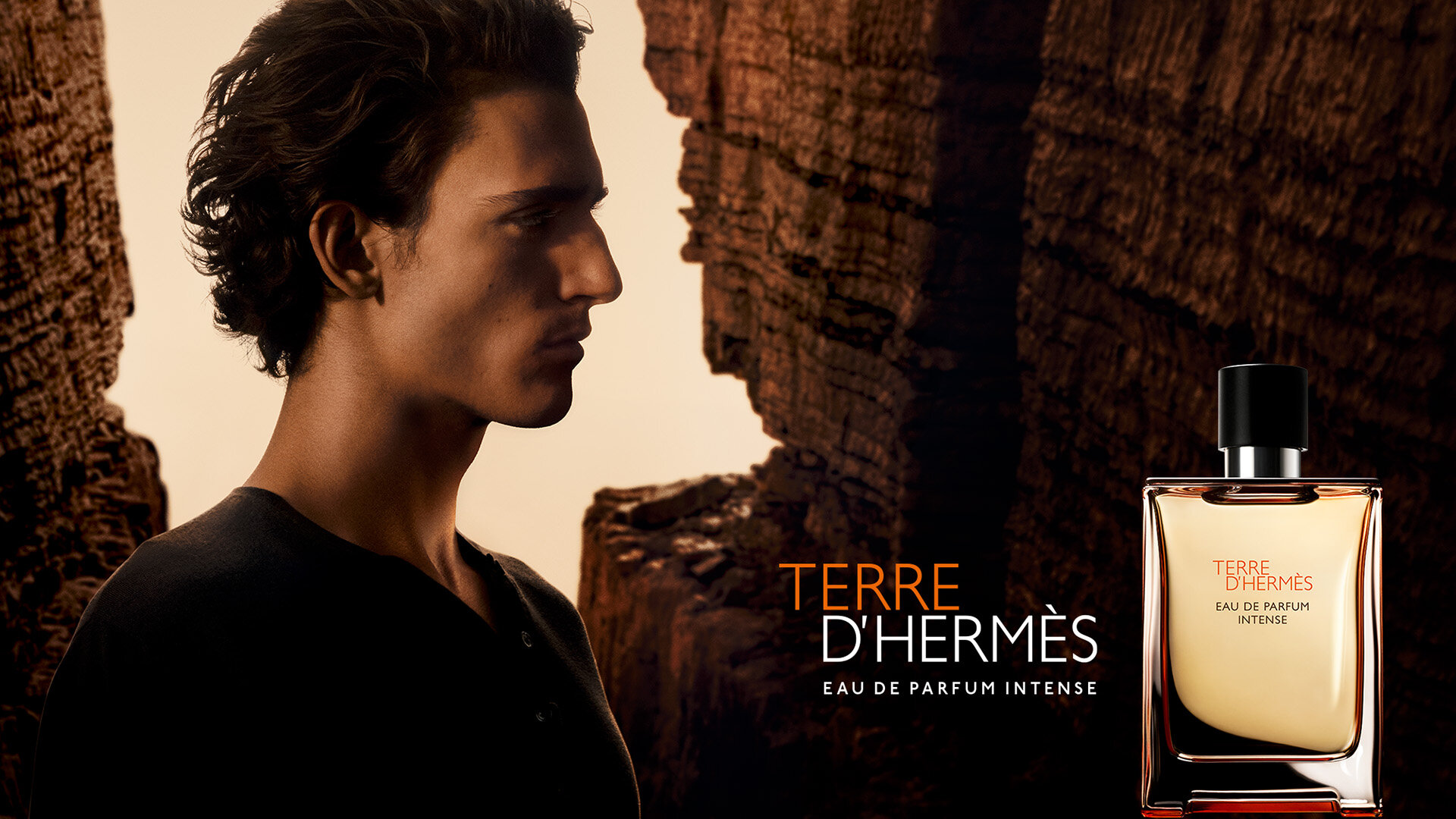 Hermès Terre d'Hermès Parfum Review: The Ultimate Woody-Spicy Statement - Product Image