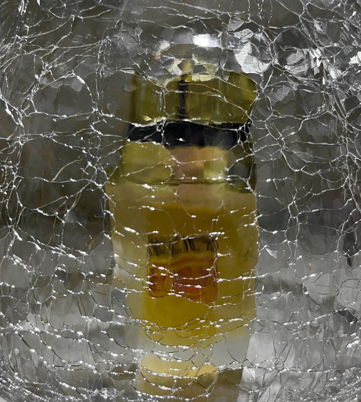 Fragile Beauty: A Love Letter to Jean Paul Gaultier's Discontinued Masterpiece