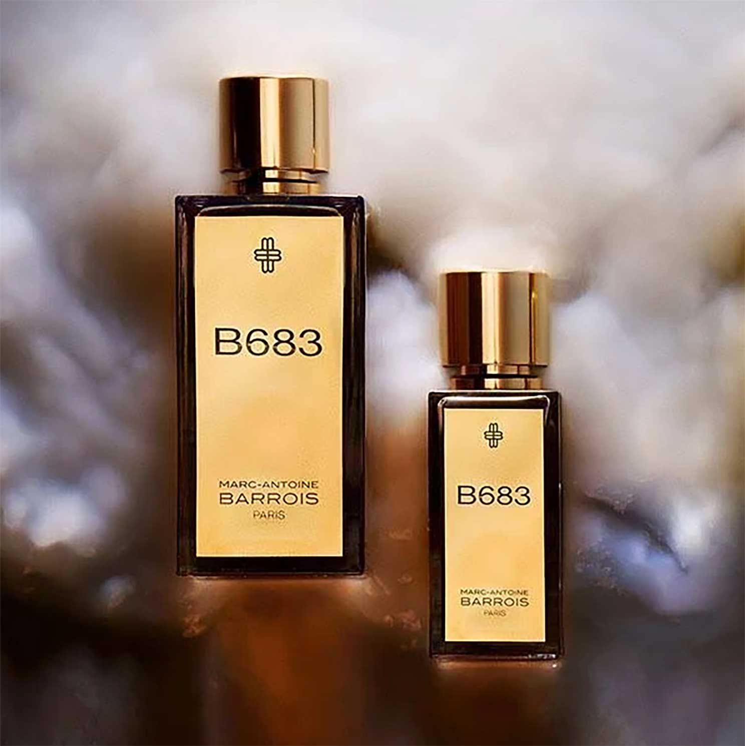Marc-Antoine Barrois B683: A Journey Through Cosmic Leather
