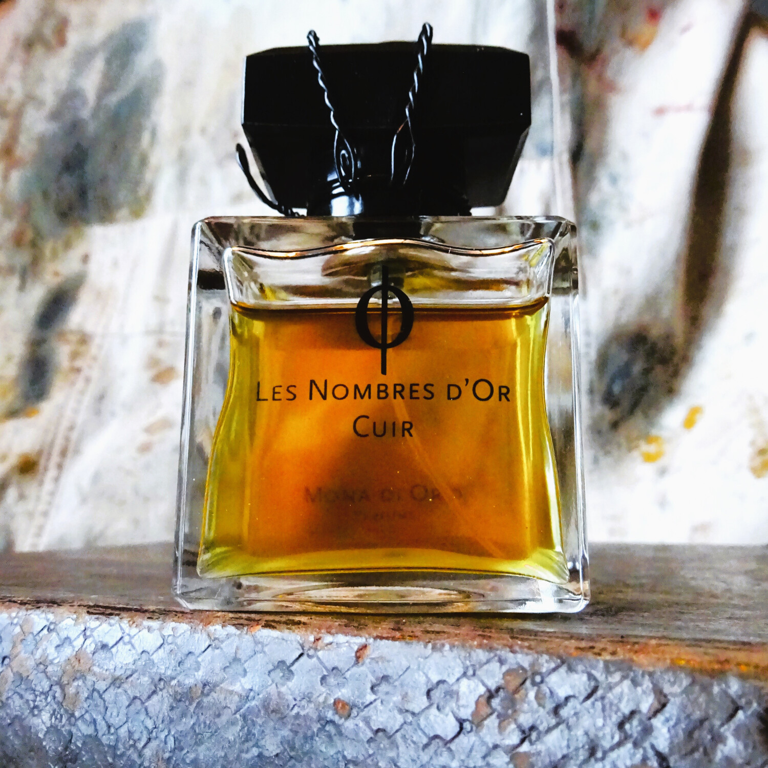 Mona di Orio Cuir Review: A Smoky Leather Masterpiece - Product Image