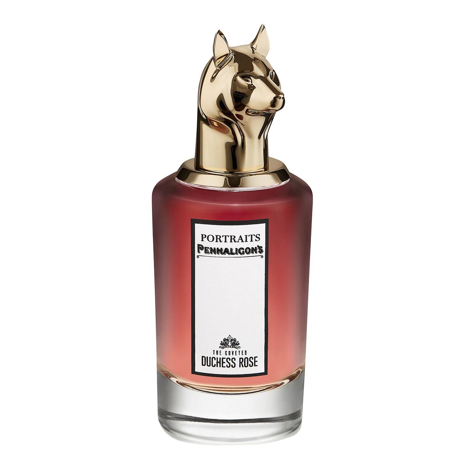 The Coveted Duchess Rose: A Portrait of Floral Elegance - Product Image