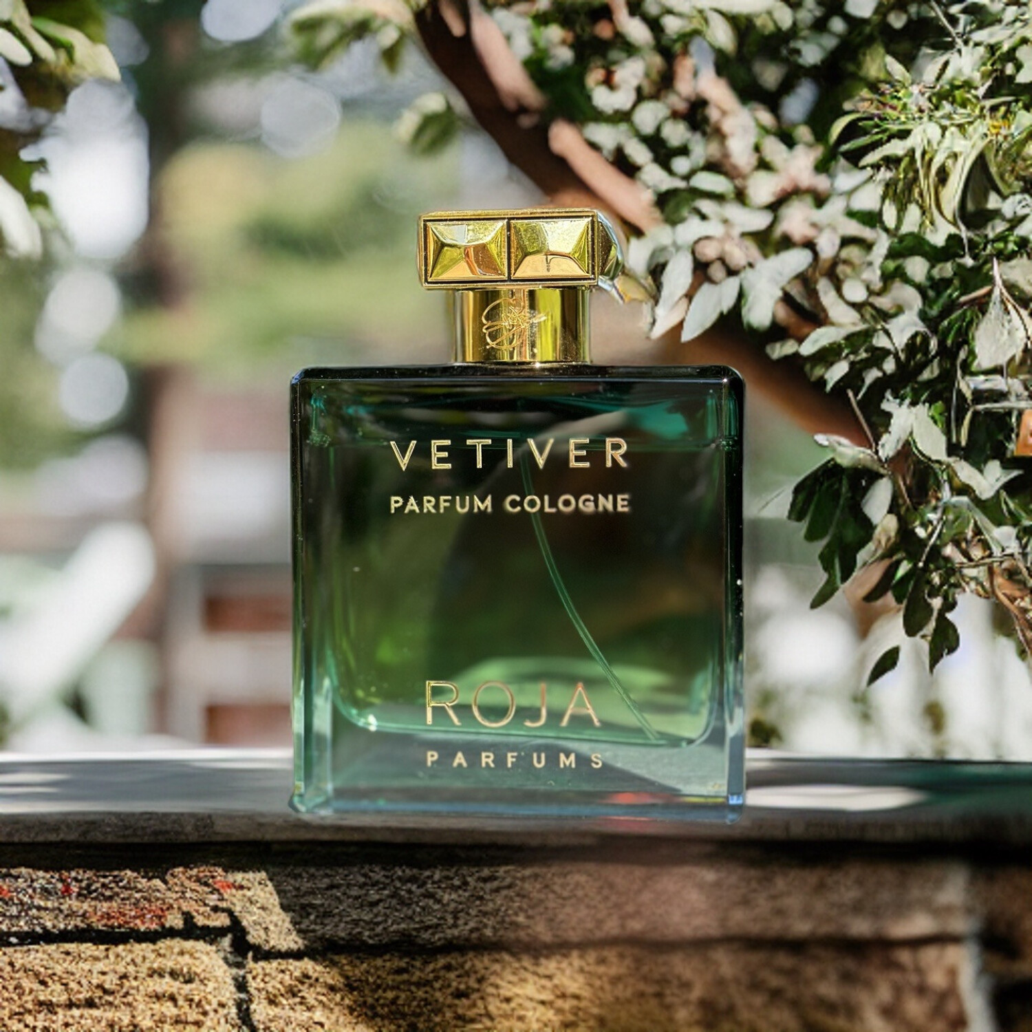 Roja Dove Vetiver Review – A Scholarly Analysis of an Earthy Masterpiece - Product Image