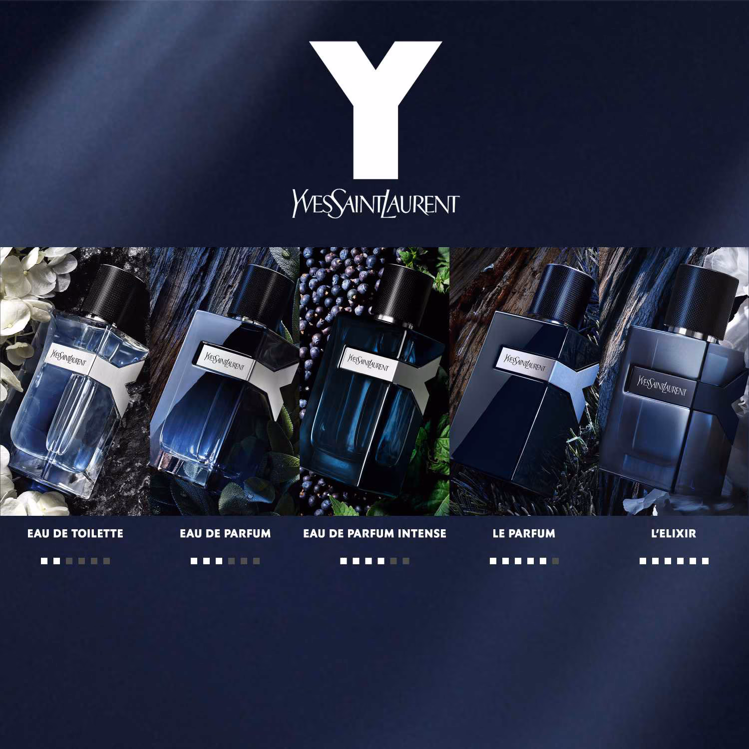Yves Saint Laurent Y Review: The Modern Masculine Icon - Product Image