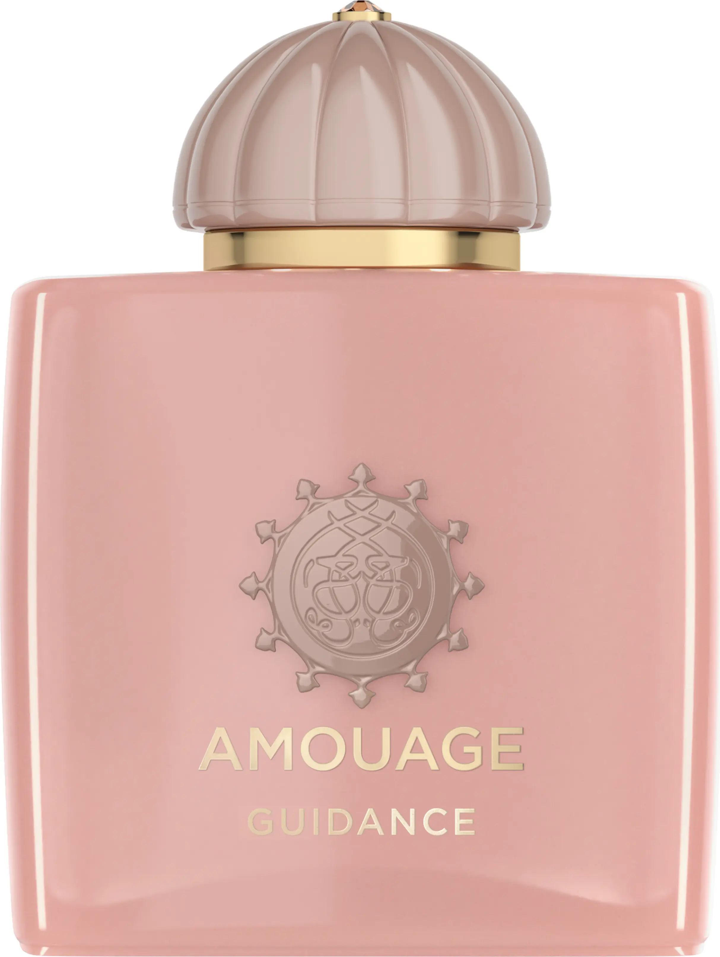 Amouage Guidance Review: The Definitive Buyer's Guide to a Modern Masterpiece