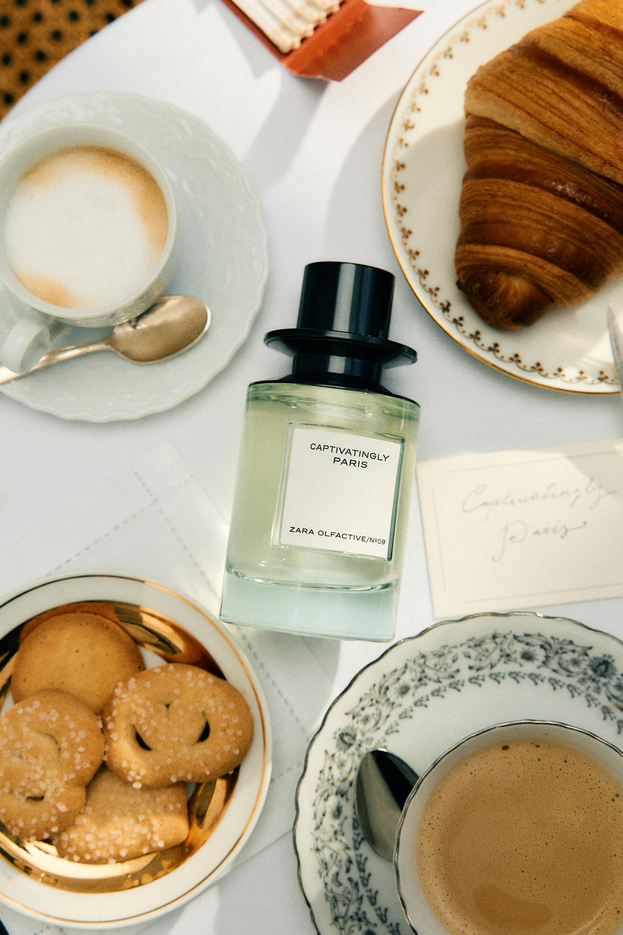 Zara Captivating Rose Review: Budget-Friendly Rose - Product Image