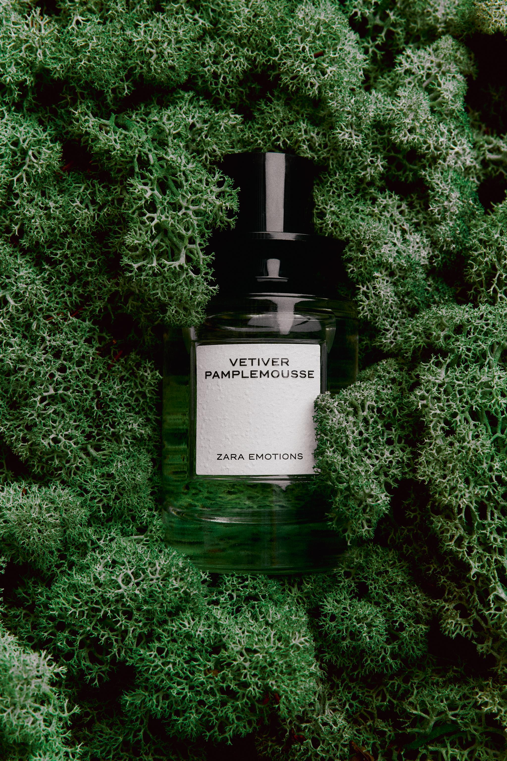 Zara Vetiver Pamplemousse Review: Citrus-Vetiver Gem - Product Image